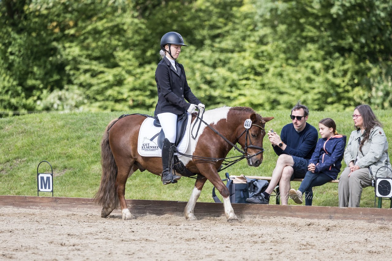 Bild 254 - Pony Akademie Turnier